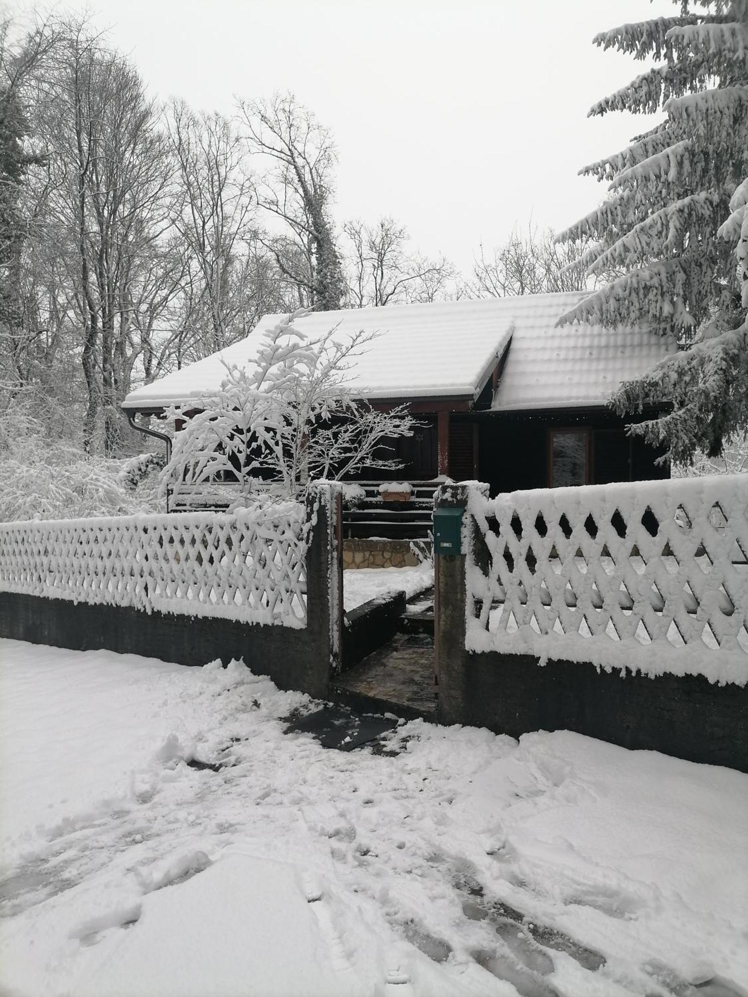 Cabin In The Woods Vukelic Stubicke Toplice Экстерьер фото